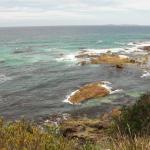 Narooma